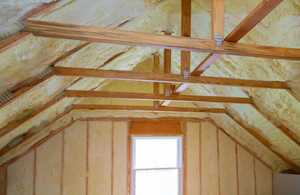 Professional Insulation Contractor in Squirrel Mountain Valley, CA