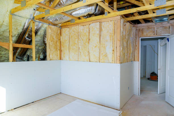 Best Insulation Maintenance and Repair in Squirrel Mountain Valley, CA