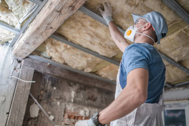 Best Commercial Insulation in Squirrel Mountain Valley, CA