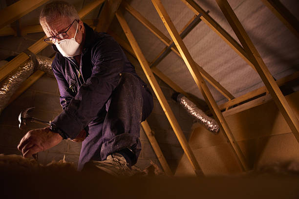 Reliable Squirrel Mountain Valley, CA Insulation Contractor Solutions